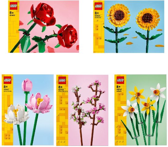 LEGO Botanicals Moederdag Display.