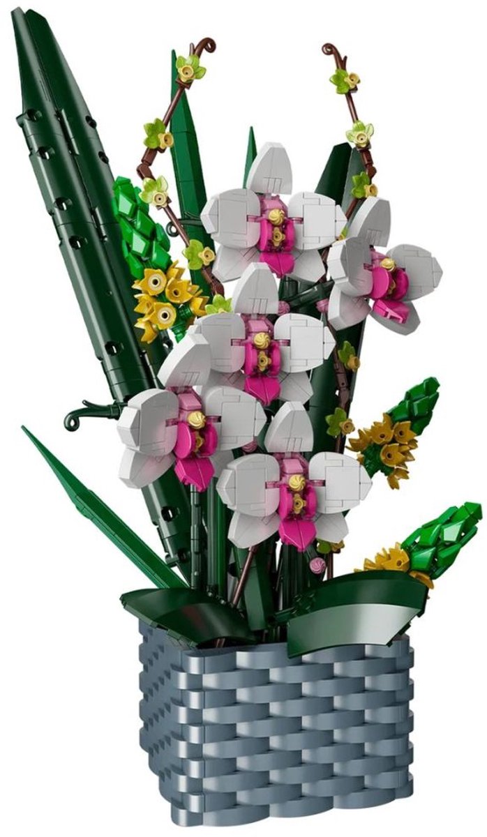 Mould King - Bloemenpracht orchidee | Botanical flowers collection | Classic Creator STEM speelgoed bonsai bloemen bouwpakket compatibel met lego sluban mega | Icons orchideeën bloemenboeket modelbouw volwassenen & kinderen | 1312 bloks