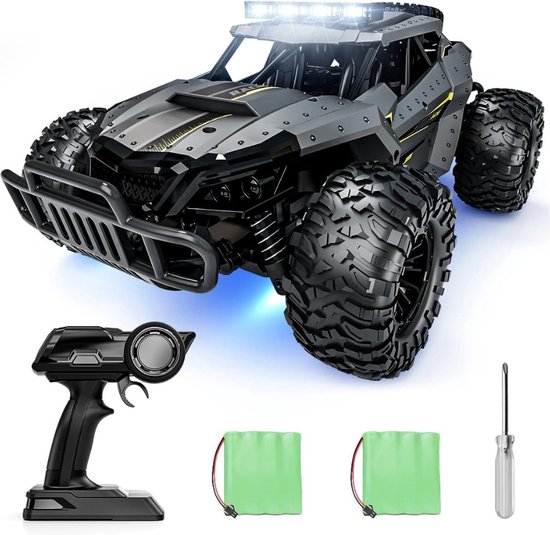 DailySupplies® RC Auto Volwassenen - Bestuurbare Auto voor Buiten - Offroad - Grijs