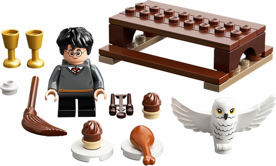 LEGO Harry Potter™ en Hedwig - 30420 - Polybag