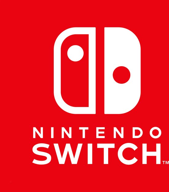 Nintendo Switch 1.1 Gris Standaard Nintendo Switch