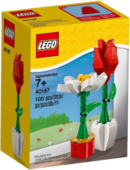 LEGO® Bloemenpracht - 40187