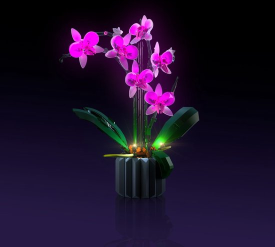 Light My Bricks (LMB) 2.0 Lichtset voor LEGO #10311 Orchidee